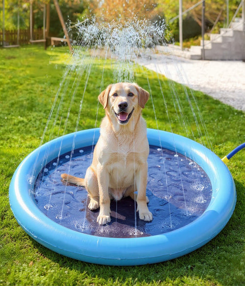 PureFlow Splash — sprinkler-mat — 2